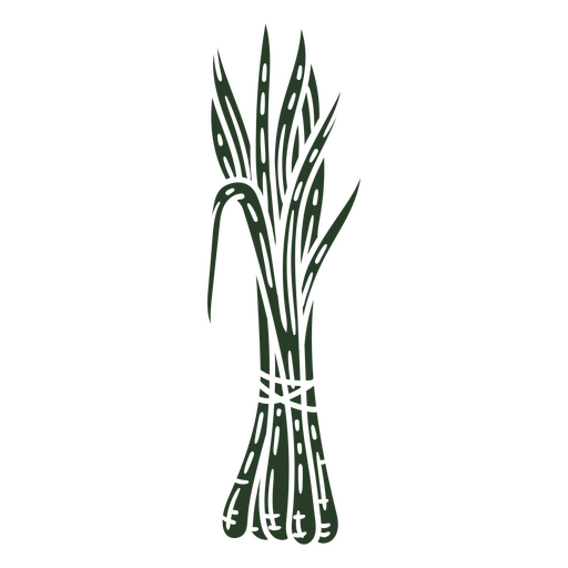 Stylish green onion illustration PNG Design
