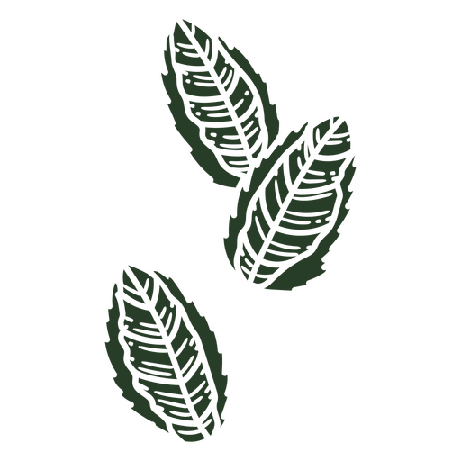 Elegante diseño de ilustración de hoja verde Diseño PNG