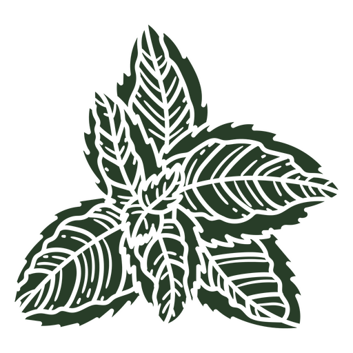 Diseño de ilustración de hojas verdes exuberantes Diseño PNG