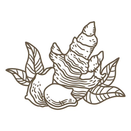 Ilustración de concha inspirada en la naturaleza Diseño PNG