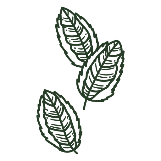 Ilustración minimalista de hoja verde Diseño PNG