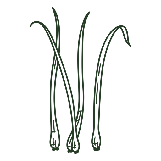 Four green onions hand drawn PNG Design
