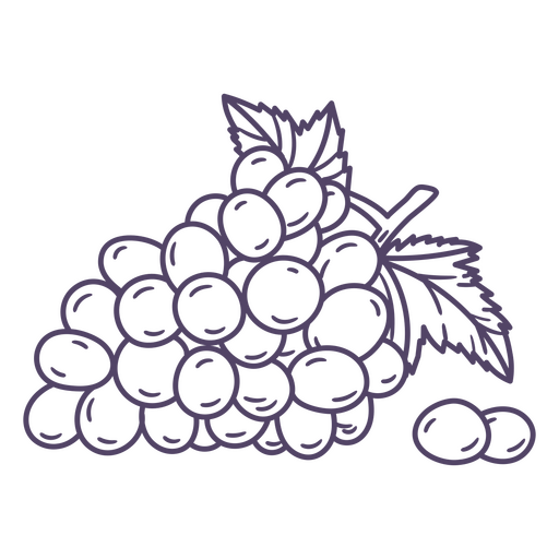 Cacho de uvas roxo desenhado à mão Desenho PNG