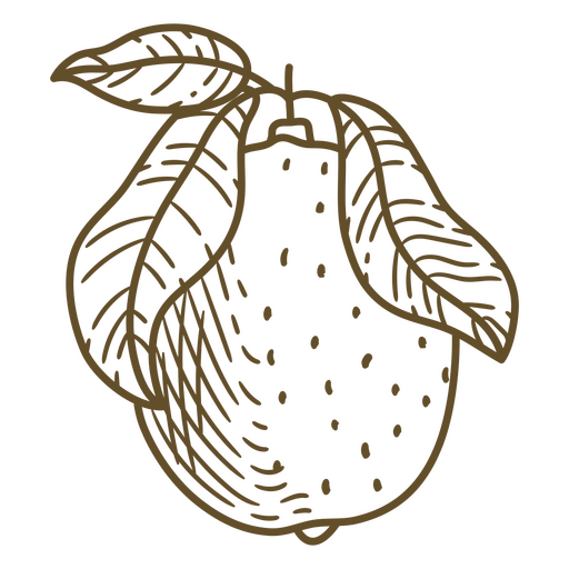 Limón dibujado a mano con hojas. Diseño PNG
