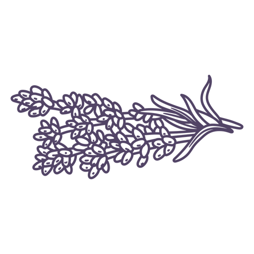 Hand drawn Lavender flower PNG Design