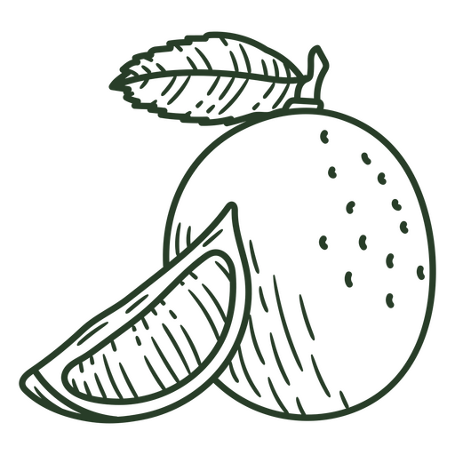 Laranja desenhada à mão verde Desenho PNG