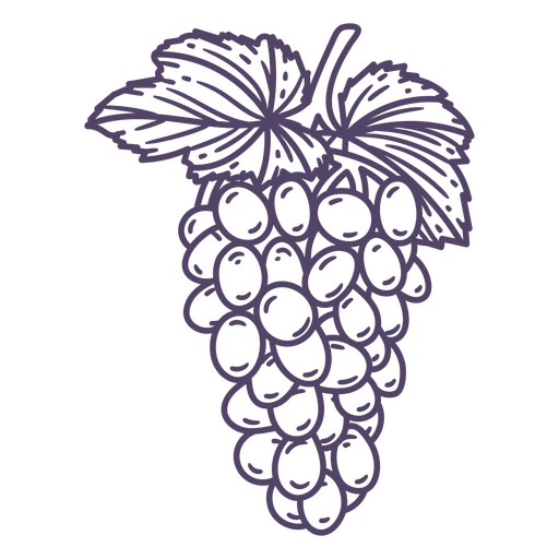 Cacho de uvas desenhado à mão Desenho PNG