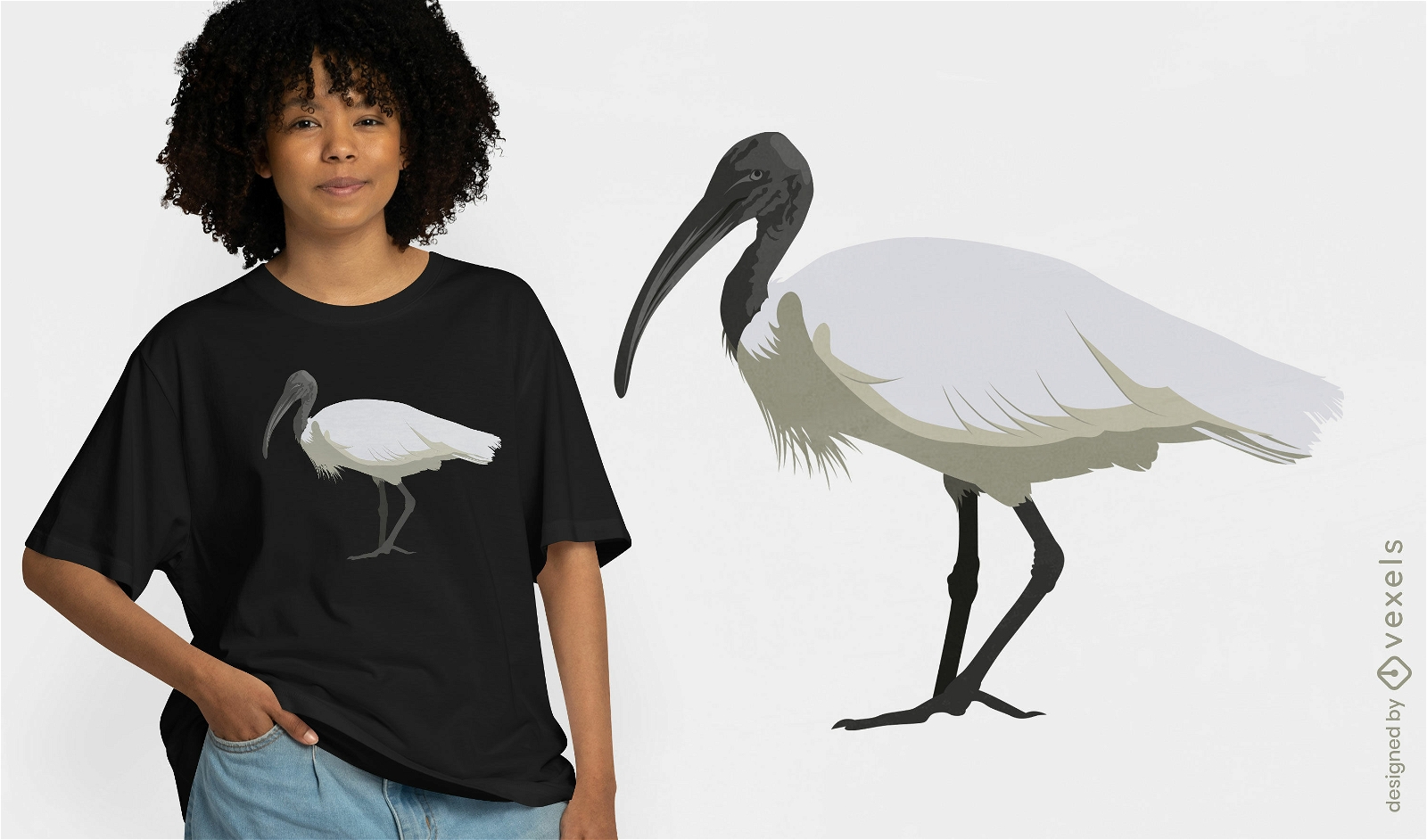 Design de camiseta de pássaro molucano