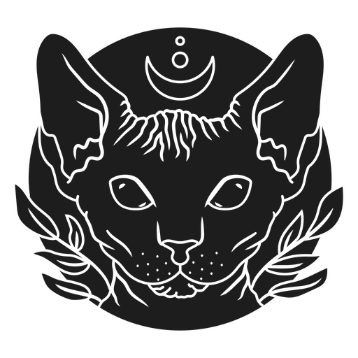 Gato preto com uma lua crescente na cabeça Desenho PNG