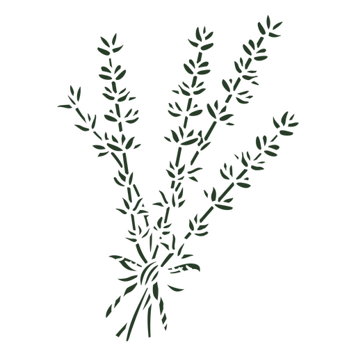 Bunch of rosemary PNG Design