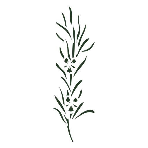Illustration of a rosemary plant stroke PNG Design
