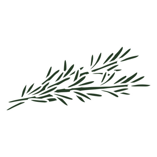 Branch of rosemary PNG Design