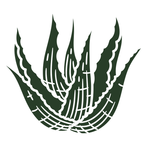 Planta de aloe vera verde Diseño PNG