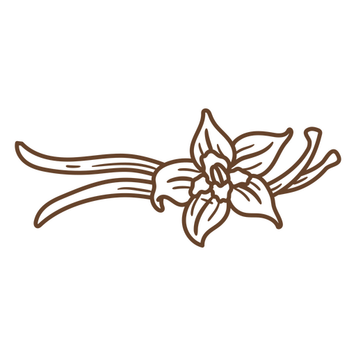 Braune Blume Hand gezeichnet PNG-Design