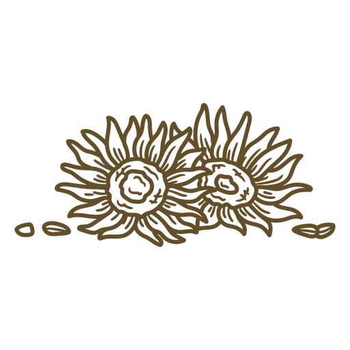 Dos girasoles dibujados a mano Diseño PNG