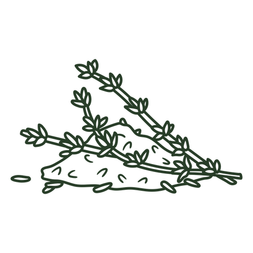 Zeichnung eines Bündels Kräuter Strich PNG-Design