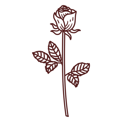 Tall hand drawn rose with leaves PNG Design