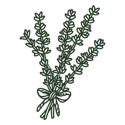 Hand Drawn Thyme PNG & SVG Design For T-Shirts