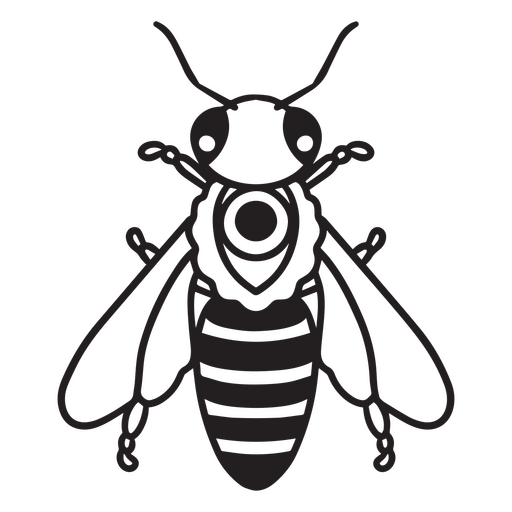 Imagen en blanco y negro de una abeja. Diseño PNG