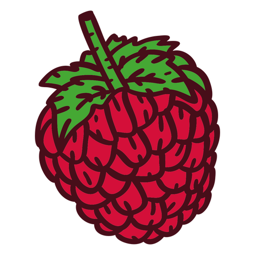 Vibrant raspberry illustration PNG Design