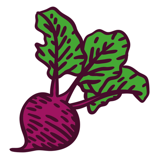 Ilustración vegetal vibrante de una remolacha con verduras de hoja verde. Diseño PNG
