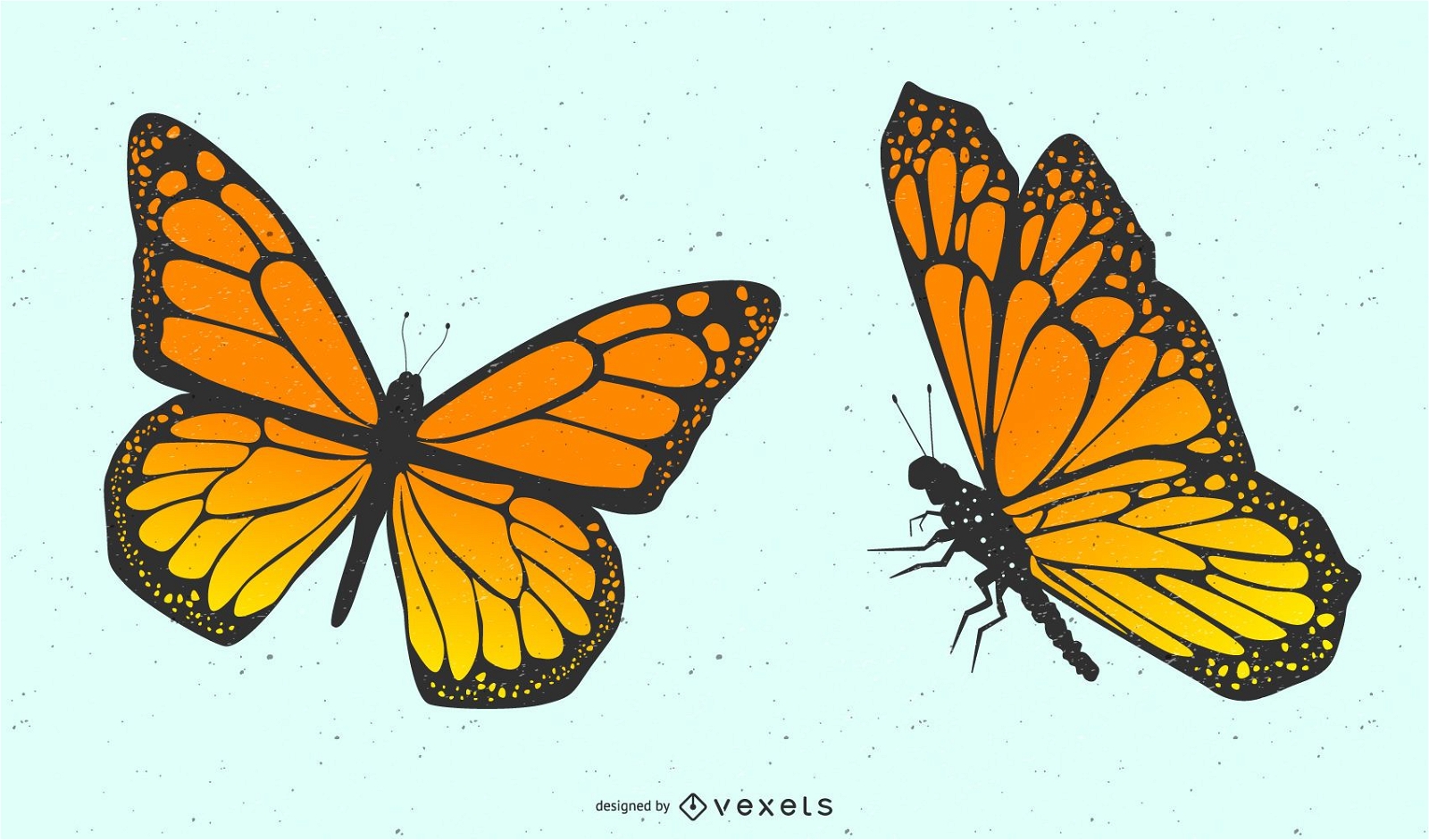 Paar Schmetterlinge