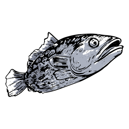 dibujo de un pez Diseño PNG