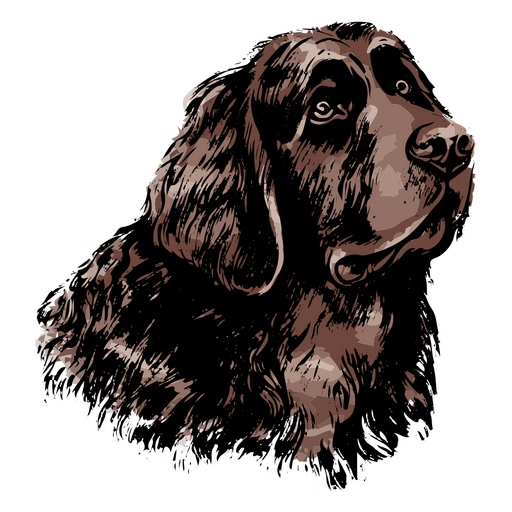 Dibujo de un perro marrón. Diseño PNG