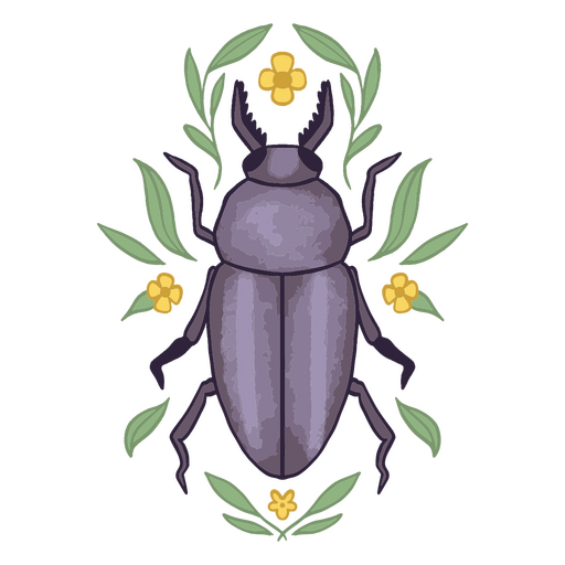 Elegant beetle illustration with floral accents PNG Design