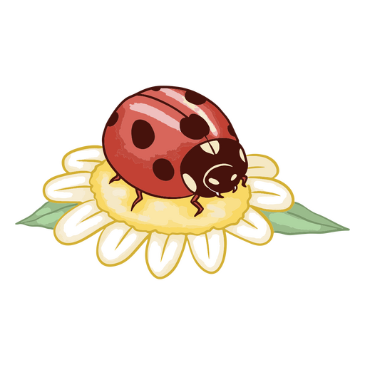 Encantadora ilustración de mariquita sobre una flor de margarita Diseño PNG