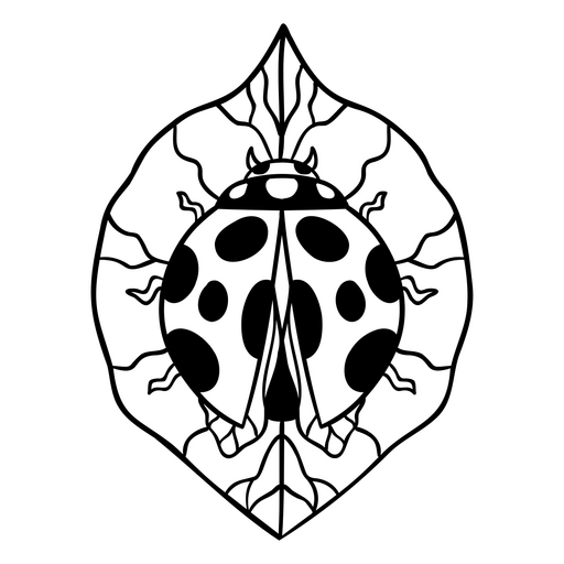 Ilustração complexa de joaninha e folha Desenho PNG