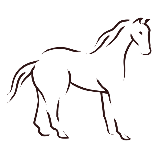 Caballo parado con gracia  Diseño PNG