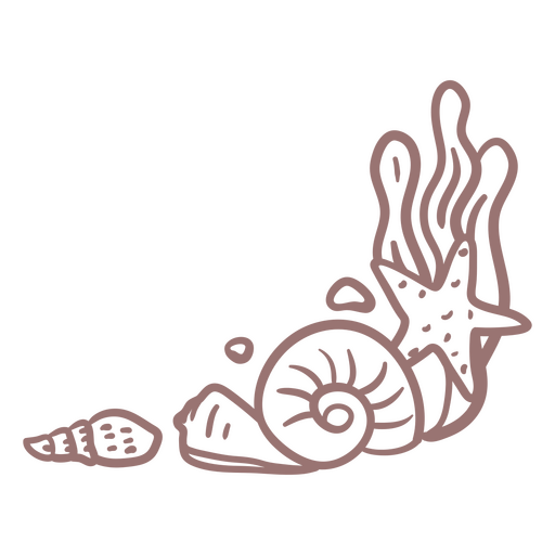 Charming ocean-inspired shell illustration PNG Design