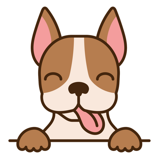 Cachorro Boston Terrier com a língua de fora Desenho PNG