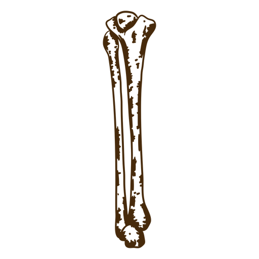 sem conteúdo Desenho PNG