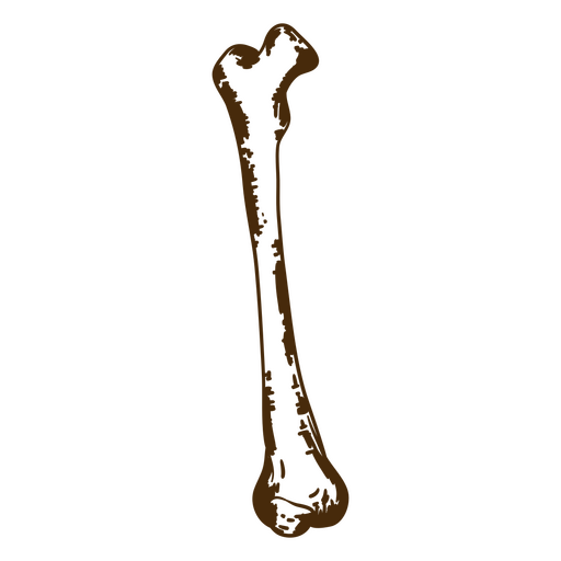 sem conteúdo Desenho PNG