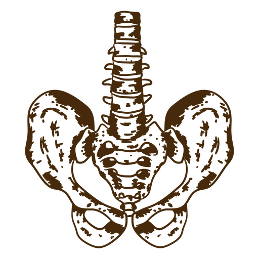 Imagem marrom e preta de uma coxa Desenho PNG