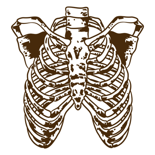 Braune Zeichnung eines Brustkorbs PNG-Design