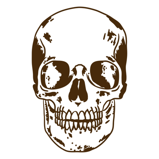 Brown skull PNG Design