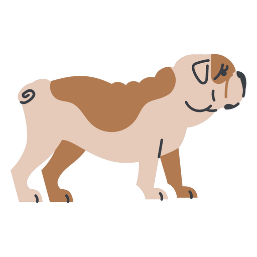 Bulldog de desenho animado em pé Desenho PNG