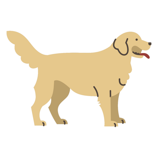 Golden retriever dog standing PNG Design