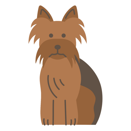 Yorkshire Terrier Hund sitzen PNG-Design