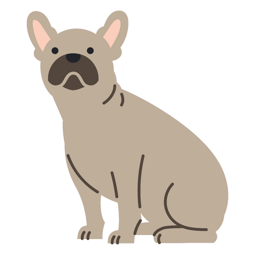 Bulldog franc?s de dibujos animados sentado Diseño PNG