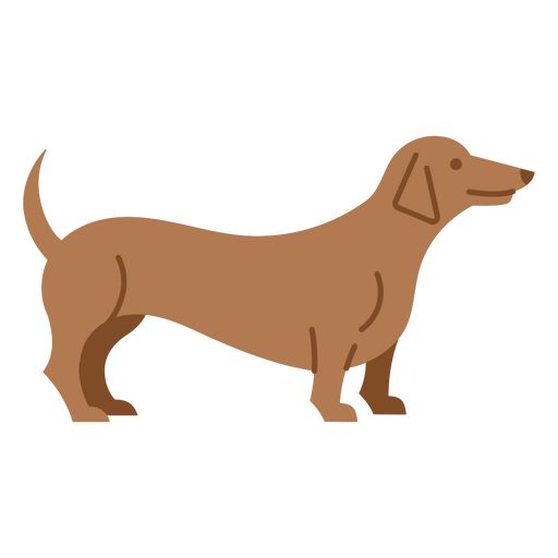 Ilustración estilizada de un perro salchicha Diseño PNG