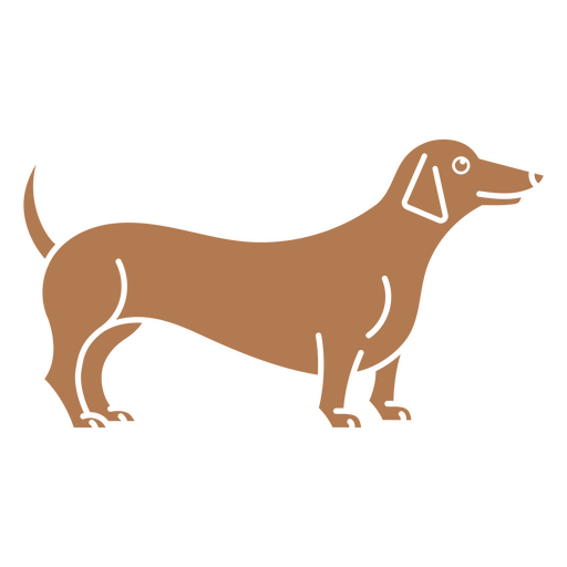 Dachshund marrom em pé Desenho PNG