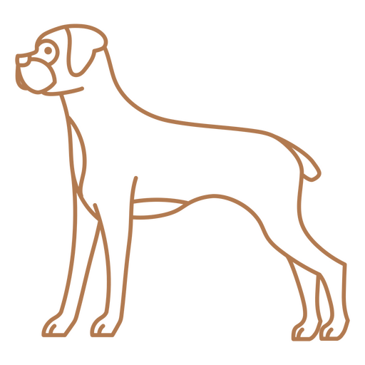 Boxer dog standing PNG Design