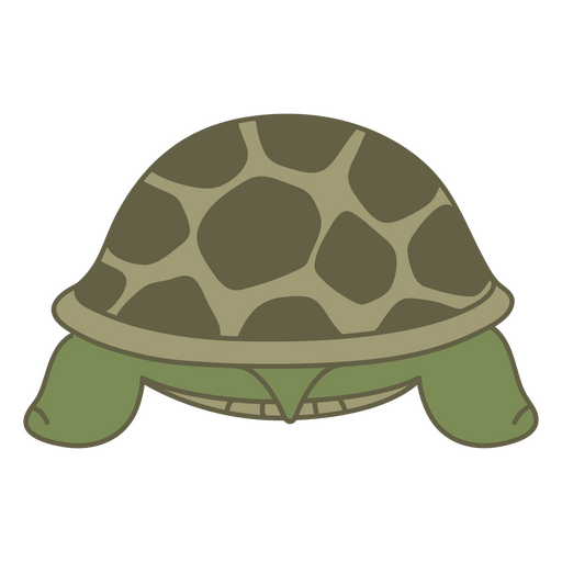 Niedliche Cartoon-Schildkrötenillustration PNG-Design