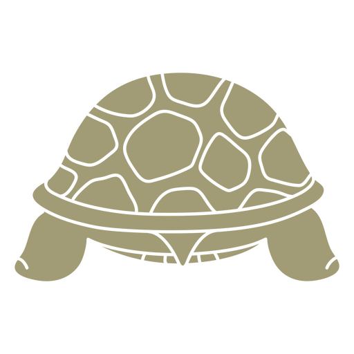 Ilustración estilizada de caparazón de tortuga Diseño PNG
