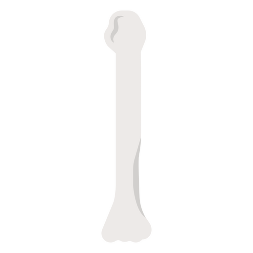 Minimalistisches Knochensilhouettendesign PNG-Design