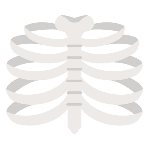 Esqueleto con costillas Diseño PNG